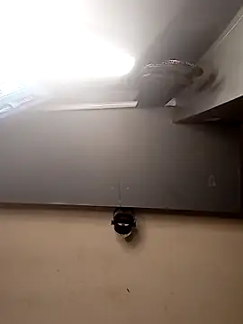 AmazonianMistress online show from December 2025 02:44:01 PM