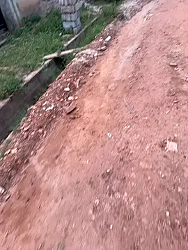 Black-mamba-madingo online show from September 2025 05:35:02 PM