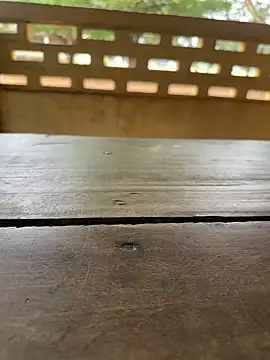 Black-mamba-madingo online show from September 2025 10:09:01 AM