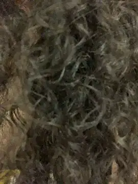 Snapshot of Antoniart_ chatting on February 2025 06:54:01 AM Antoniart online show from February 2025 06:54:01 AM