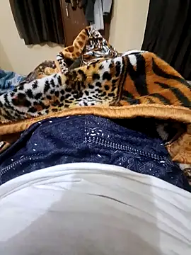 Snapshot of villagb12 chatting on December 2024 07:24:01 PM villagb12 online show from December 2024 07:24:01 PM