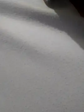 Snapshot of _Miaaleon chatting on November 2025 10:43:02 AM Miaaleon online show from November 2025 10:43:02 AM