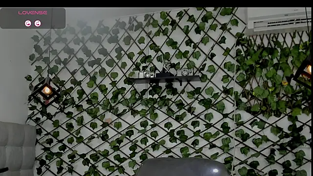 emy 0 online show from January 2026 07:17:01 PM