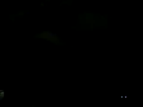 Everydayonli online show from February 2025 12:54:01 AM