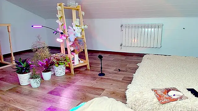 Meowroslava online show from November 2025 09:31:01 AM