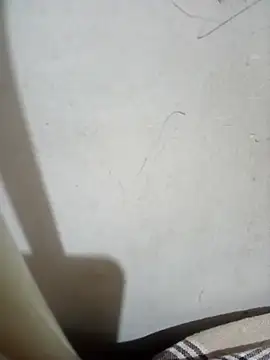 Snapshot of Raj__880 chatting on February 2026 06:49:02 PM Raj 880 online show from February 2026 06:49:02 PM