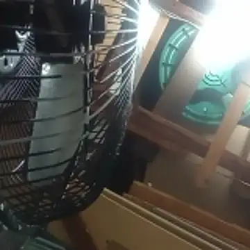 Miguel16i online show from April 2026 05:10:01 AM