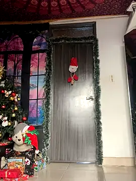 Snapshot of _Artemisa_X chatting on December 2024 09:02:01 PM Artemisa X online show from December 2024 09:02:01 PM