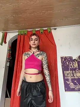 Snapshot of _Artemisa_X chatting on February 2025 06:57:02 PM Artemisa X online show from February 2025 06:57:02 PM