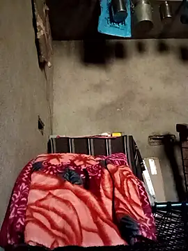 Yasha 14C Creator online show from January 2026 05:45:02 AM