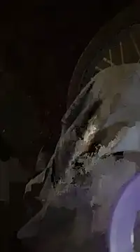 nowex18 online show from February 2025 02:57:01 PM