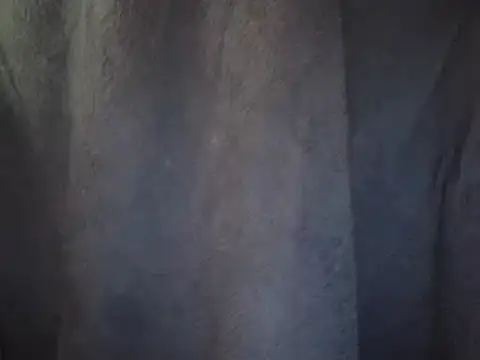 0815lukas2024 online show from February 2025 01:19:02 PM