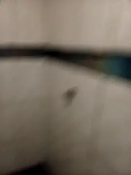 ladygmusic online show from February 2026 08:51:01 AM