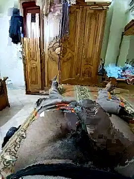 ListedLoin online show from March 2026 09:15:02 AM