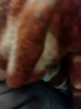 myhot1551 online show from February 2025 06:43:02 PM