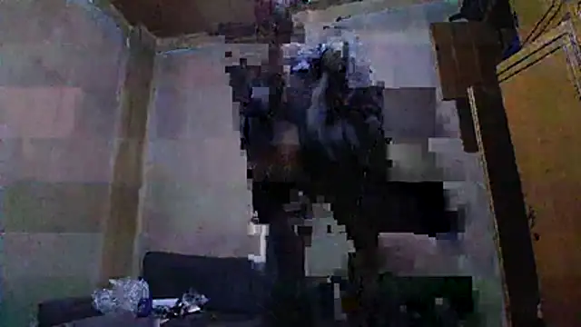 Snapshot of tomeliviathan chatting on December 2025 05:28:02 PM tomeliviathan online show from December 2025 05:28:02 PM