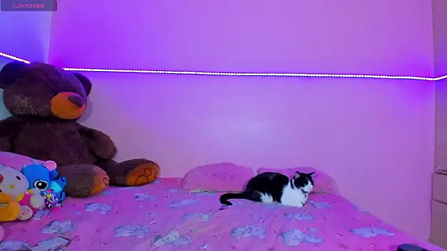 Snapshot of Canndy88htxx chatting on December 2025 12:49:02 AM Canndy88htxx online show from December 2025 12:49:02 AM