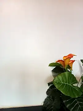 Snapshot of JemaimaPrincess chatting on March 2025 11:22:02 AM JemaimaPrincess online show from March 2025 11:22:02 AM