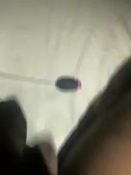 Snapshot of delasan chatting on October 2025 06:37:01 PM delasan online show from October 2025 06:37:01 PM