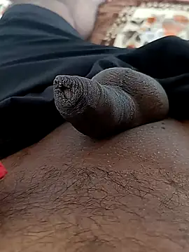 sat 1234 online show from December 2024 08:52:02 AM