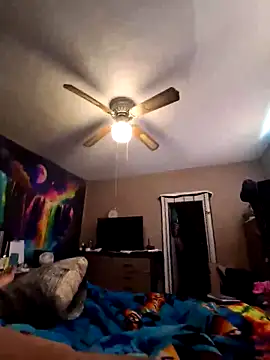 nuttinbuttcock69 online show from May 2026 04:45:01 PM