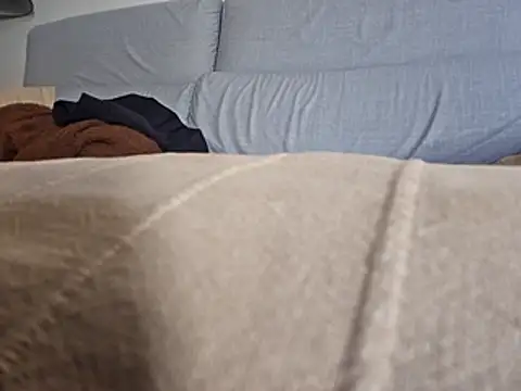 Snapshot of PeDrO2024_25 chatting on February 2026 11:53:02 AM PeDrO2024 25 online show from February 2026 11:53:02 AM