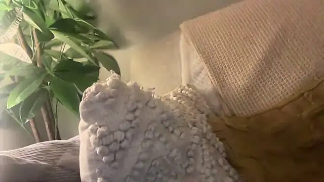 toptugger online show from October 2025 07:27:01 PM