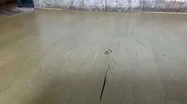 itstherahul online show from February 2025 07:37:01 AM