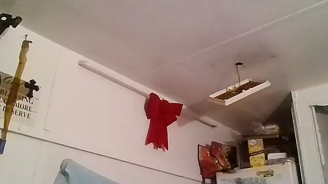 allissonw13 online show from January 2025 04:23:02 AM