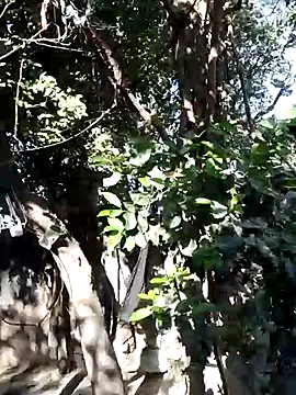 Snapshot of Hot-rubina chatting on March 2025 03:18:02 AM Hot-rubina online show from March 2025 03:18:02 AM