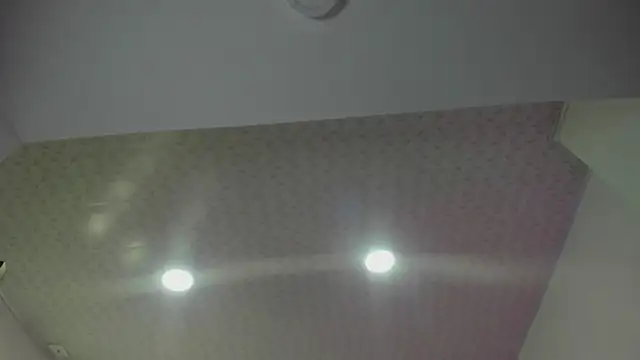 cute hollywood online show from April 2026 08:06:01 AM