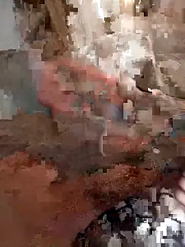 Snapshot of Din0071 chatting on December 2025 03:31:01 PM Din0071 online show from December 2025 03:31:01 PM