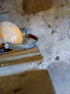 Snapshot of Din0071 chatting on January 2026 05:59:02 PM Din0071 online show from January 2026 05:59:02 PM