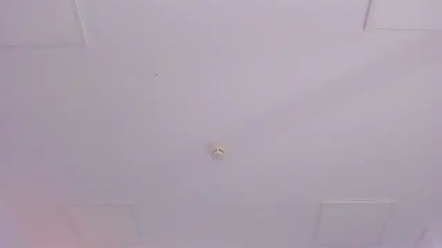 JassyeJoy online show from January 2026 05:21:02 AM