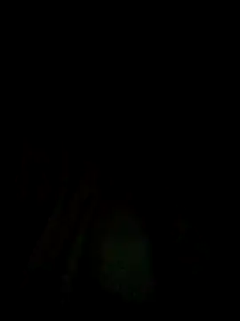 Snapshot of deepinnnnn chatting on October 2025 06:03:01 AM deepinnnnn online show from October 2025 06:03:01 AM