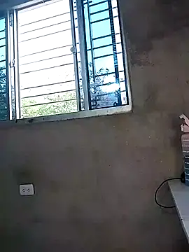 ariana d20 online show from November 2025 11:22:01 AM