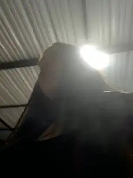 Snapshot of aliensexy chatting on December 2024 04:33:02 AM aliensexy online show from December 2024 04:33:02 AM