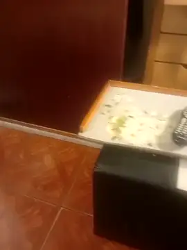 Snapshot of jmliimonsito chatting on April 2026 11:36:01 PM jmliimonsito online show from April 2026 11:36:01 PM