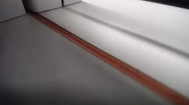 Lovensetest online show from February 2025 01:52:02 AM