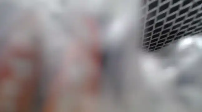 Lovensetest online show from February 2025 07:09:01 AM