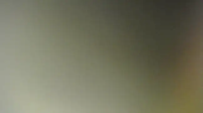 Lovensetest online show from March 2025 08:52:01 AM