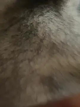 legendcock123 online show from February 2026 11:17:01 AM