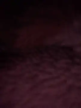 DManL online show from June 2026 02:56:02 AM