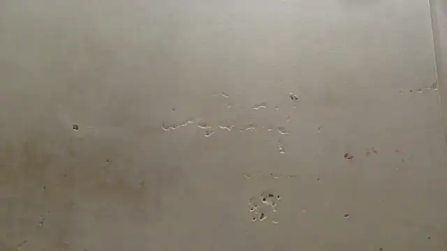 Snapshot of curvysexybody chatting on January 2026 09:41:01 PM curvysexybody online show from January 2026 09:41:01 PM