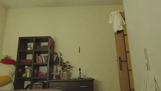 Snapshot of Niter chatting on January 2025 01:56:01 AM Niter online show from January 2025 01:56:01 AM