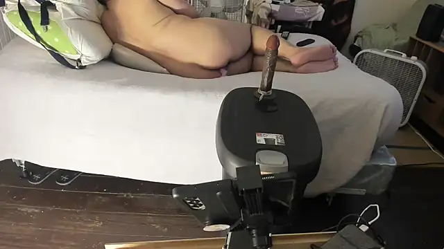 poyabig online show from January 2025 09:20:01 PM