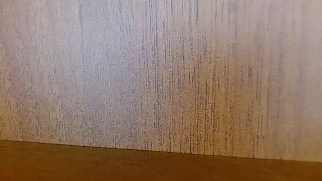 Snapshot of _SamanthaDoll_ chatting on December 2024 07:00:02 AM SamanthaDoll online show from December 2024 07:00:02 AM