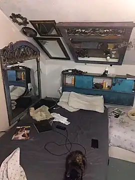 ditchwater online show from October 2025 11:47:01 AM