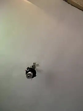 Brando2585 online show from April 2026 01:42:02 PM