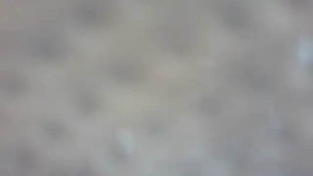 Snapshot of RoseRed69 chatting on October 2025 03:14:01 AM RoseRed69 online show from October 2025 03:14:01 AM